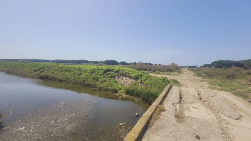 Spille, shitet toke ne bregdet , 2000 m² 200,000 € (Greth i Mesem)