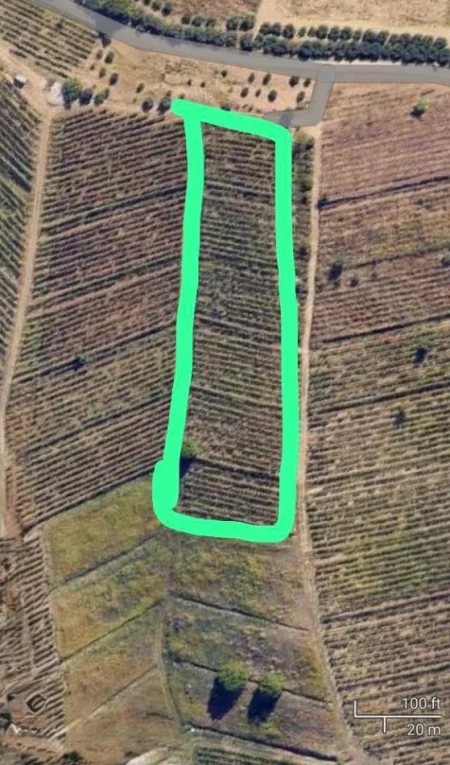 Tirane, shitet , 5.000 m² 600.000 € (Lunder)