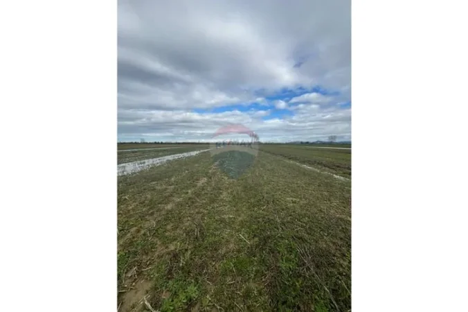 Vlore, shitet toke bujqesore , 2.400 m² (Poro, Vlore)