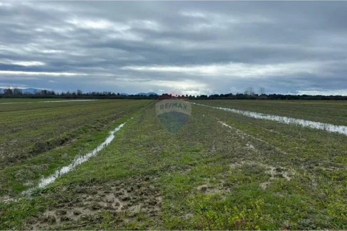 Vlore, shitet toke bujqesore , 2.400 m² (Poro, Vlore)