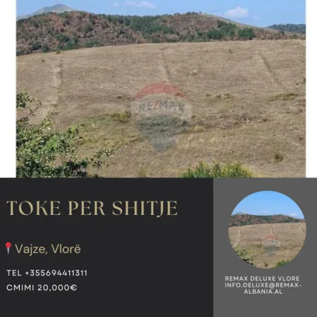 Vlore, shitet toke bujqesore , 7.000 m² (Vajze, Vlore)
