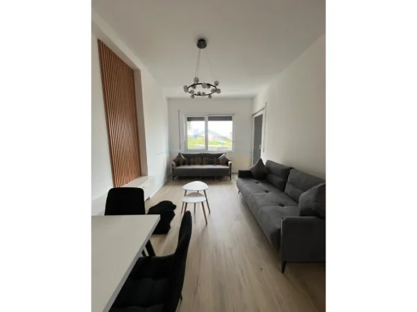 Tirane, jepet me qera apartament 1+1+Ballkon Kati 2, 60 m² 550 € (Pallati me Shigjeta)