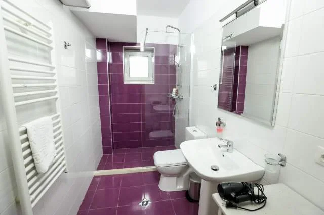 Apartament me qera (ne zonen e Myslym Shyrit) Tirane