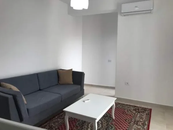 Tirane, jepet me qera apartament 1+1+BLK Kati 5, 65 m² 390 Euro (Rruga e dibres , prane amerikan 2)