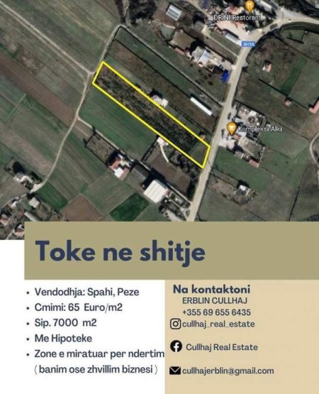 Tirane, shes toke 7.000 m² 65 Euro/m2 (peze)