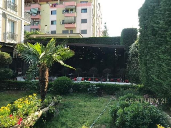 Tirane, ofert ambjent biznesi Kati 4, 1.135 m² 8000 Euro (Rruga 5 Maji)