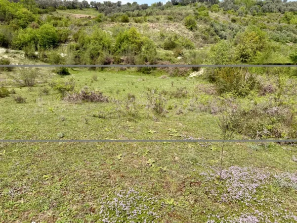 Tirane, shitet toke , 4.500 m² 120.000 € (Kus afer Liqenit te Kusit ne Kashar)