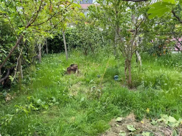 Tirane, jepet me qera shtepi 1+1 Kati 0, 71 m² 500 € (shkoze)