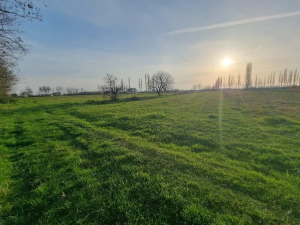 Shitet tokë - Ishull Lezhë