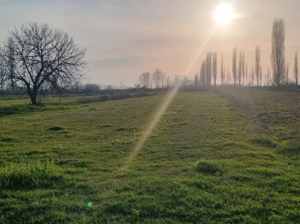 Shitet tokë - Ishull Lezhë