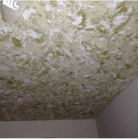 Tirane, njoftim Lyerje Profesionale Zajmi