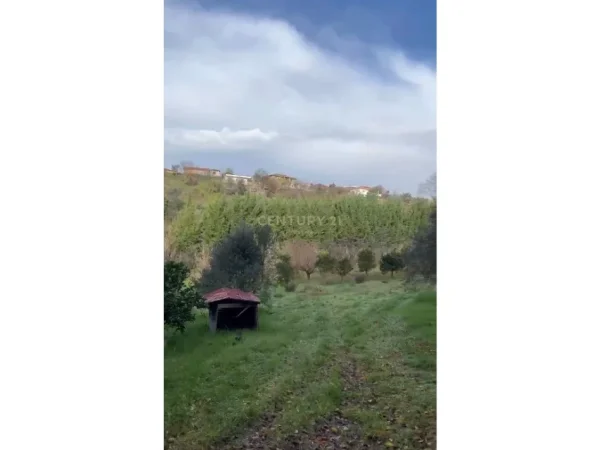 Tirane, shes toke , 2.000 m² 260.000 € (prush)