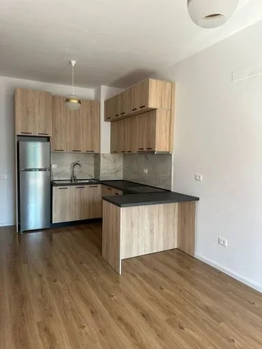 Tirane, jepet me qera apartament 1+1+Aneks+Ballkon Kati 5, 50 m² 350 € (rruga ali demi)