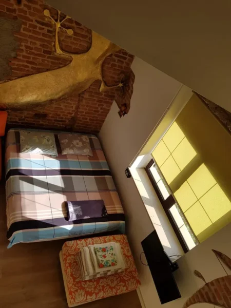 Tirane, jepet me qera apartament 2+1 Kati 2, 41 m² 500 € (Garzoniere Qender)