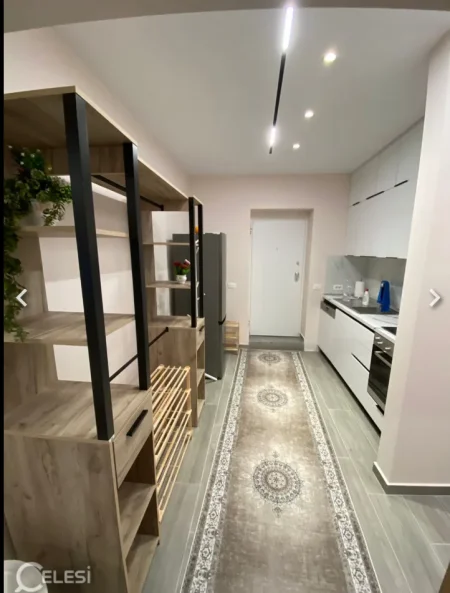 Tirane, jepet me qera apartament 1+1 Kati 1, 60 m² 650 € (Rruga Qamil Guranjaku)