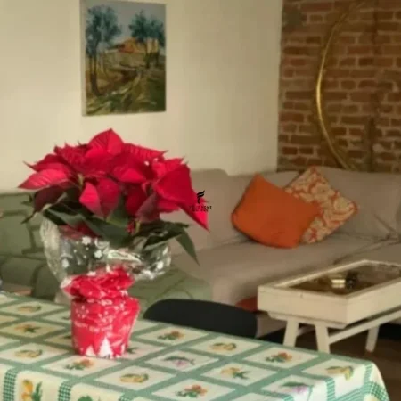 Tirane, jepet me qera garsonier Kati 3, 40 m² 500 € (RRUGA E DURRESIT)
