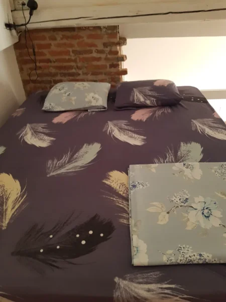 Tirane, jepet me qera garsonier 1+1 Kati 3, 40 m² 500 € (Rruga Mihal Duri)