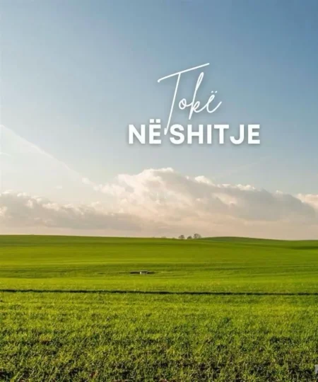 TOKE NE SHITJE   5.000 m²  NE  VAQARR