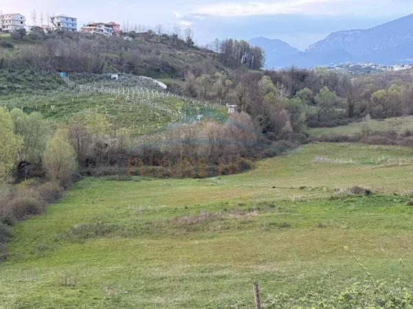 Tirane, shitet toke , 8.906 m² 1.157.780 € (FARKE E VOGEL)