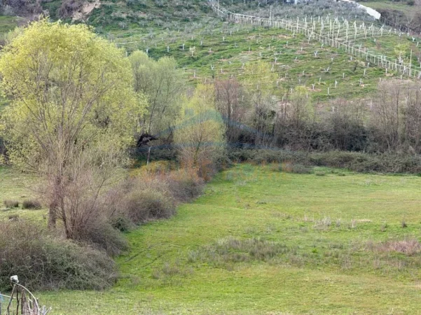 Tirane, shitet toke , 8.906 m² 1.157.780 € (FARKE E VOGEL)