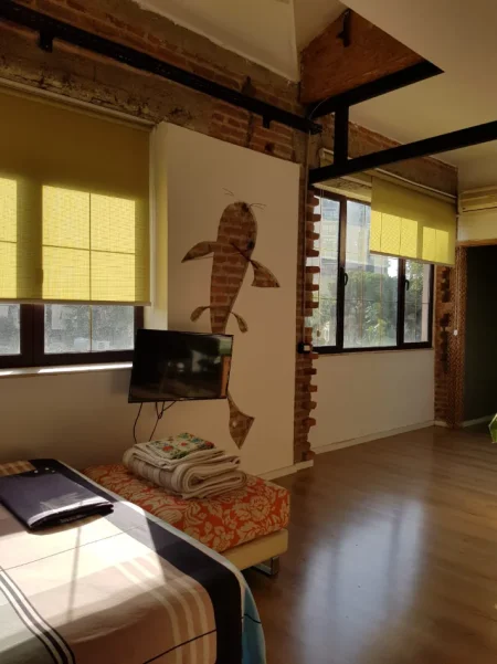 Tirane, jepet me qera garsonier 1+1 Kati 3, 40 m² 500 € (Rruga e Kavajes)