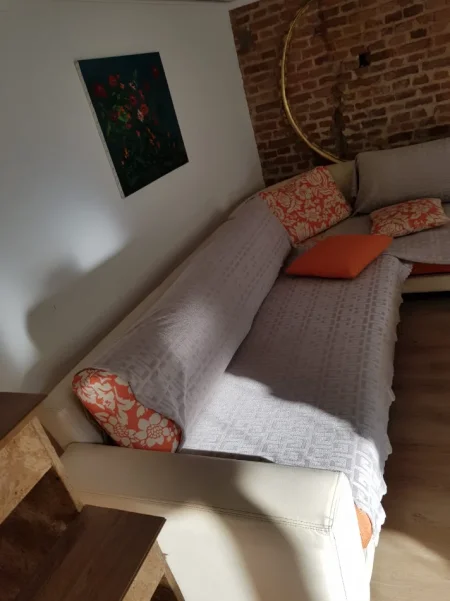 Tirane, jepet me qera garsonier 1+1 Kati 3, 40 m² 500 € (Rruga e Kavajes)