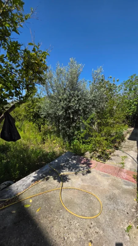 Lushnje, shitet shtepi 2 Katshe Kati 0, 700 m² 145.000 € 