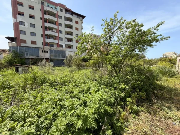 Lushnje, shitet truall , 558 m² 110.000 € 
