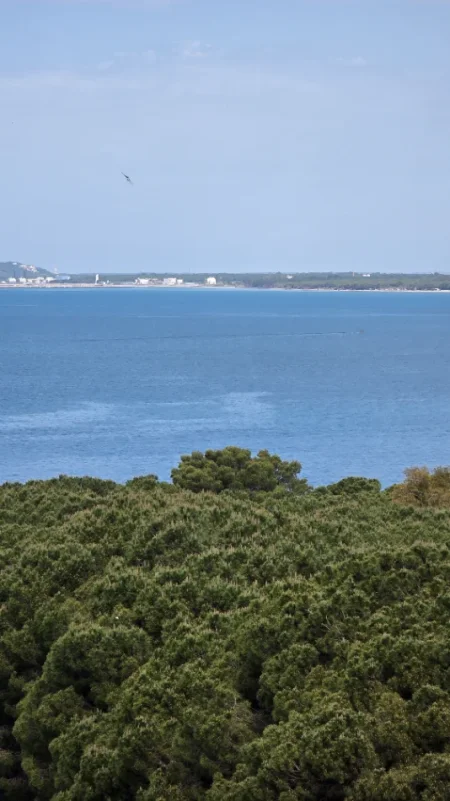 Vlore, shitet apartament 1+1+Ballkon Kati 6, 59 m² 198.000 € 