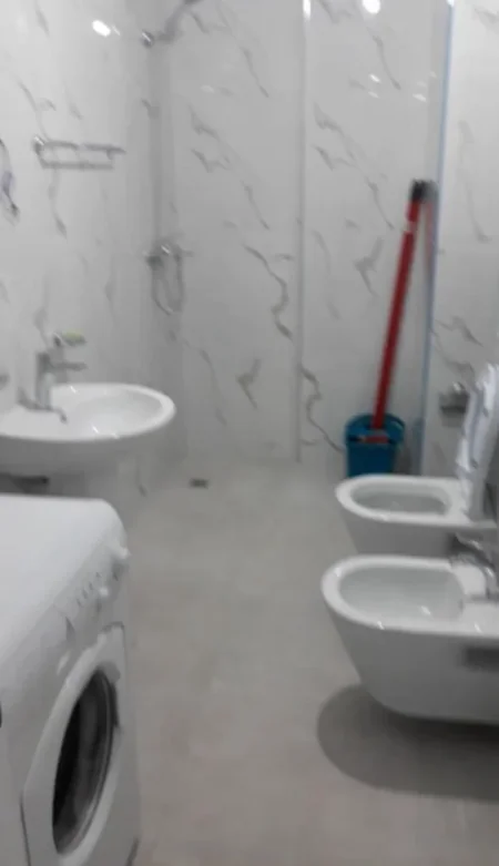 Tirane, jepet me qera apartament 1+1 Kati 3, 65 m² 400 € (Rruga Ali Bakiu)