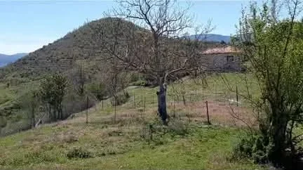 Tirane, shitet nga Pronari, pa-komision shtepi 1 Katshe Kati 0, 1.600 m² 105.000 € (baldushk)