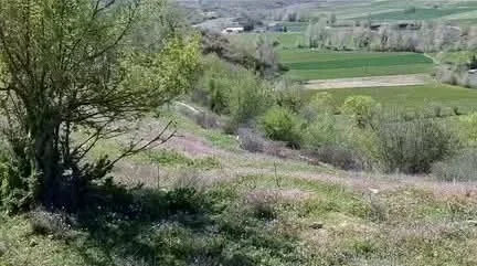 Tirane, shitet nga Pronari, pa-komision shtepi 1 Katshe Kati 0, 1.600 m² 105.000 € (baldushk)
