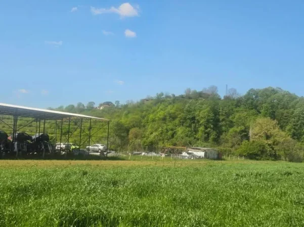 Tirane, shitet nga Pronari, pa-komision shtepi 1 Katshe Kati 0, 1.600 m² 105.000 € (baldushk)
