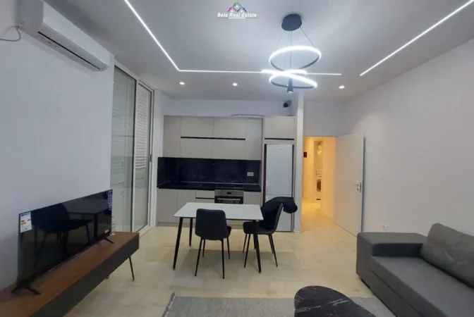 Tirane, jepet me qera apartament 1+1+Ballkon Kati 0, 60 m² 630 € (rrapo hekali)