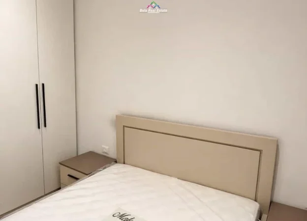 Tirane, jepet me qera apartament 1+1+Ballkon Kati 0, 60 m² 630 € (rrapo hekali)