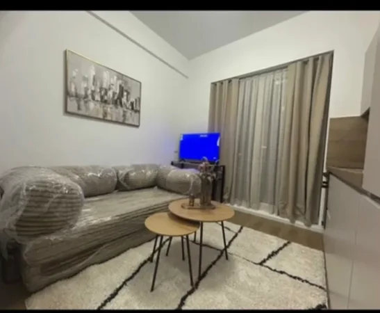 Tirane, jap me qera apartament 1+1 Kati 2, 50 m² 300 € (rruga dalip topi)