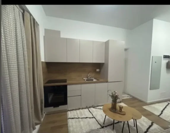 Tirane, jap me qera apartament 1+1 Kati 2, 50 m² 300 € (rruga dalip topi)