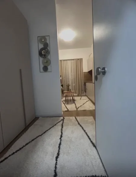 Tirane, jap me qera apartament 1+1 Kati 2, 50 m² 300 € (rruga dalip topi)