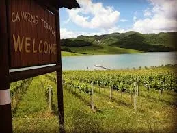 Tirane, jepet me qera toke , 1.850 m² (Kashar, pranë Top Channel)