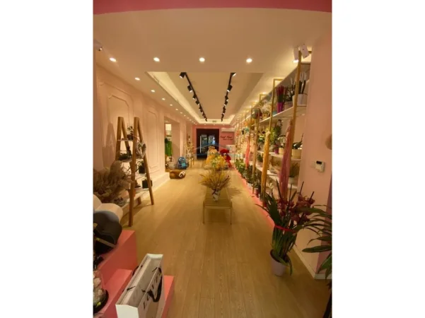 Shitet, Biznes, Dyqan Lulesh, në Rrugën Bardhyl, Tiranë. AREA68042