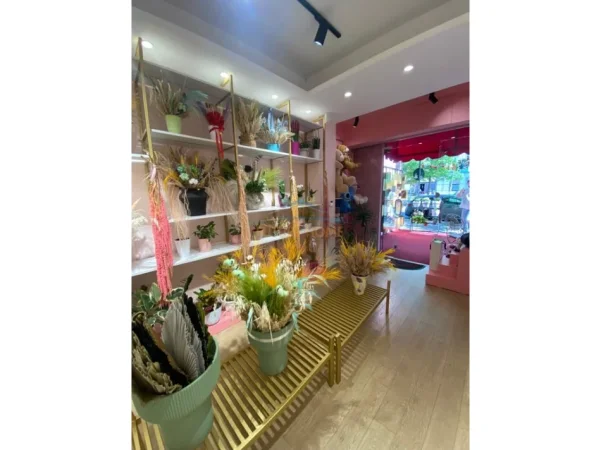 Shitet, Biznes, Dyqan Lulesh, në Rrugën Bardhyl, Tiranë. AREA68042