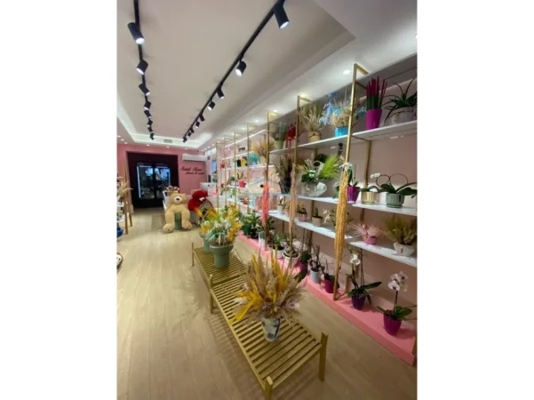 Shitet, Biznes, Dyqan Lulesh, në Rrugën Bardhyl, Tiranë. AREA68042