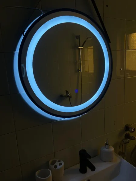 Tirane, jepet me qera garsonier Kati 0, 40 m² 430 € (VASIL SHANTO)