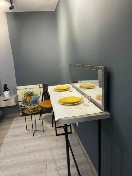 Tirane, jepet me qera garsonier Kati 0, 40 m² 430 € (VASIL SHANTO)