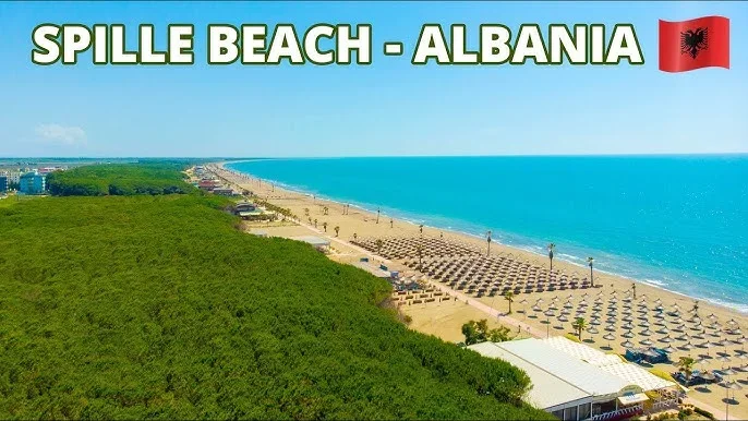 Spille, shitet truall ne bregdet , 6.000 m² 200.000 € (Spille)