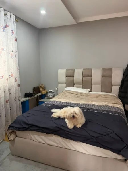 Tirane, shitet apartament 3+1 Kati 3, 128 m² 300000 € (Komuna E Parisit)