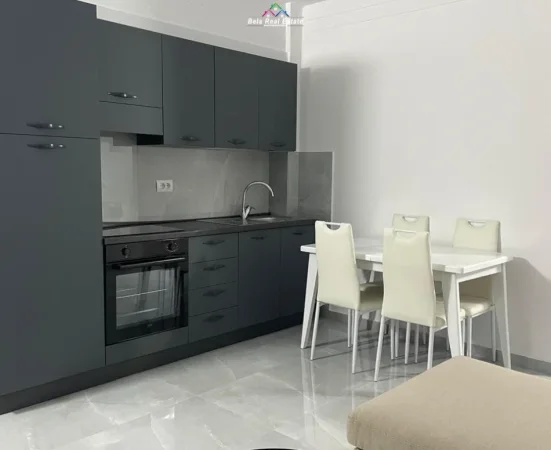 Tirane, jepet me qera Vile 1+1+Ballkon Kati 1, 57 m² 420 € (prane Syri Tv)