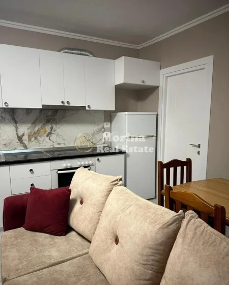Tirane, jepet me qera apartament 1+1 Kati 1, 60 m² 400 € (Rruga E Elbasanit)