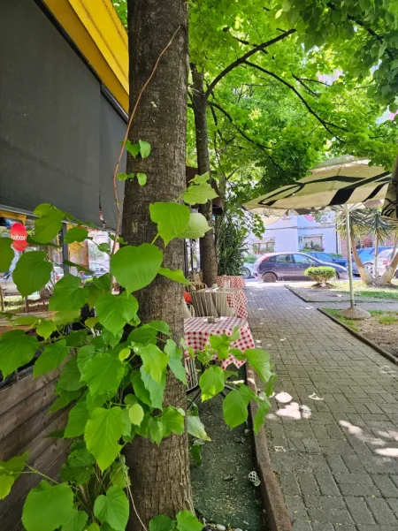 Tirane, shitet lokal Kati 0, 150 m² (Bulevardi Gjergj Fishta)