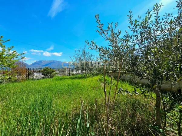 Tirane, shes Vile 3 Katshe Kati 3, 486 m² 650.000 € 
